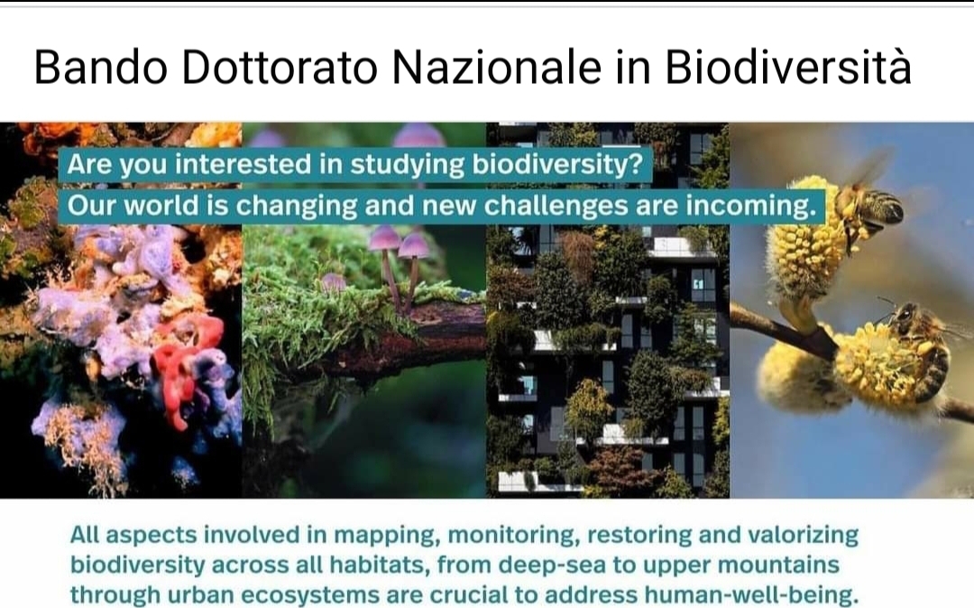 Dottorato Nazionale Biodiversità (NBFC)